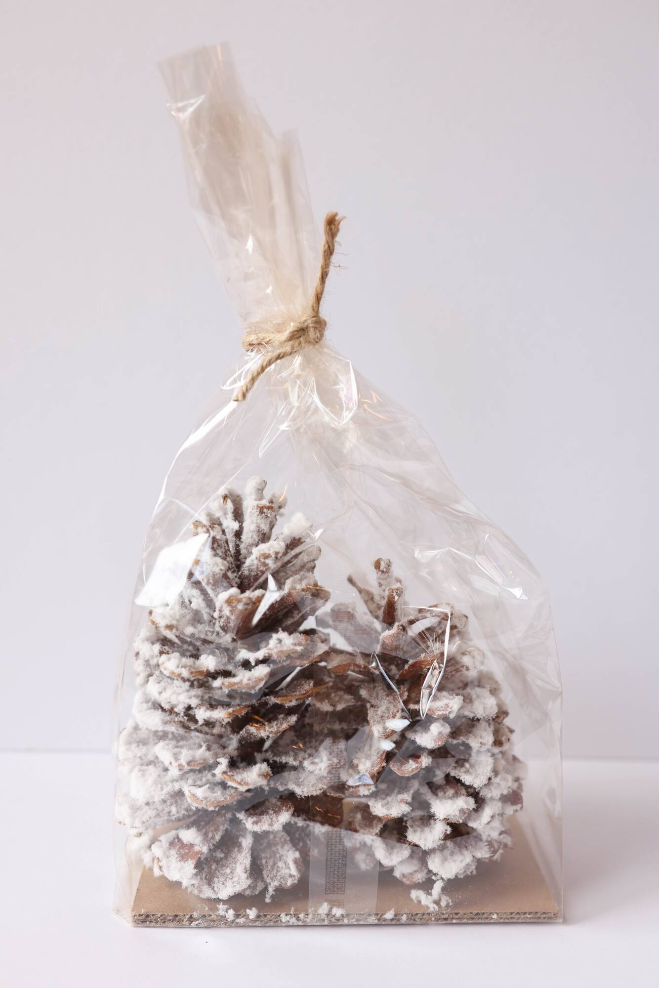 Snowy White Long Leaf Pinecones, 2ct. by Ashland®